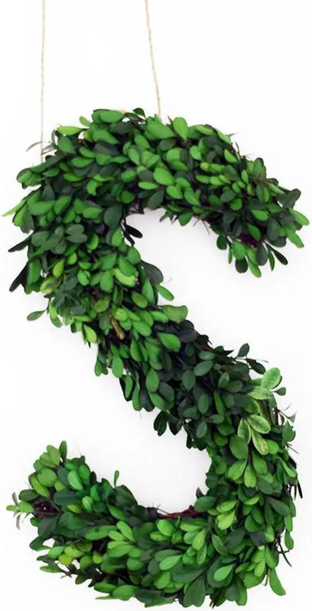 Alt view image 5 of 5 - Modern Home 12" Real Preserved Boxwood Monogram Wreath Letters - Q