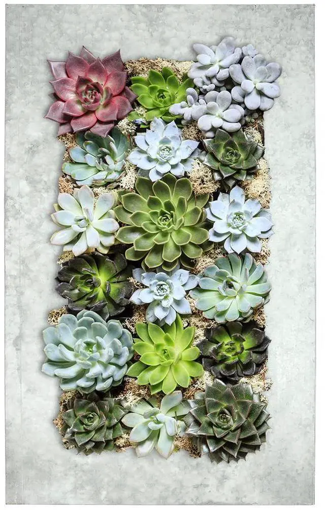 Main image of Modern Home Living Wall Galvanized Steel/Zinc Succulent Planter (Aged Zinc, 18 Pocket)