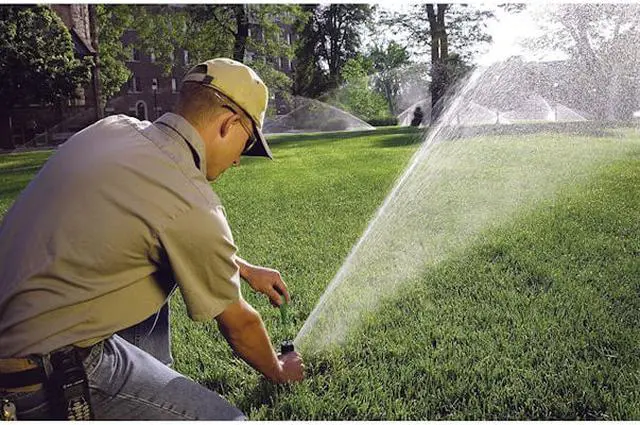 Alt view image 6 of 8 - RAIN BIRD CP 5004 PC Pop-Up Rotor Sprinkler Head,7-3/8 in. H