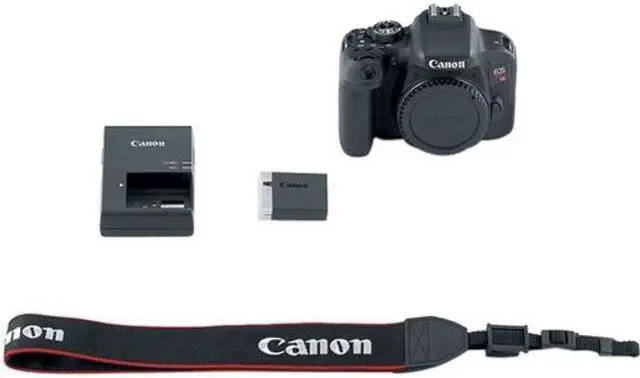 Alt view image 2 of 9 - Canon EOS Rebel T7i 24.2 Megapixel Digital SLR Camera Body Only - 3" Touchscreen LCD - 16:9 - Digital (IS) - E-TTL II - 6000 x 4000 Image - 1920 x 1080 Video - HDMI - PictBridge - HD Movie Mode - ...