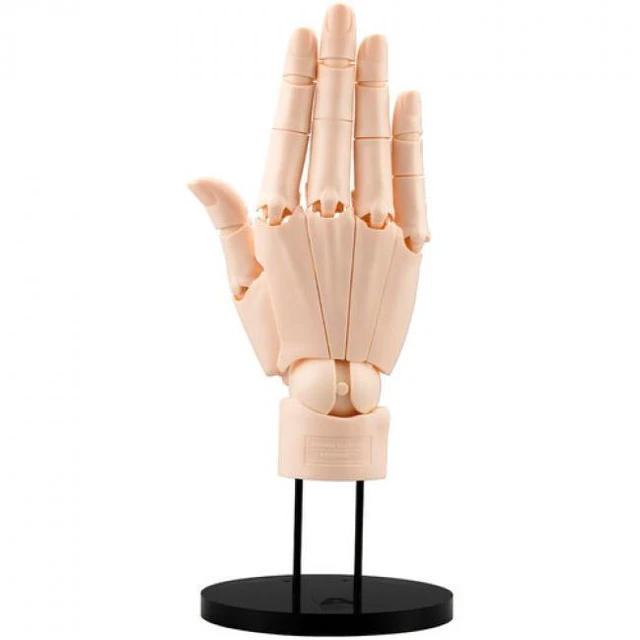 Main image of Kotobukiya - Artist Support Item - Hand Model - Right - Pale Orange
