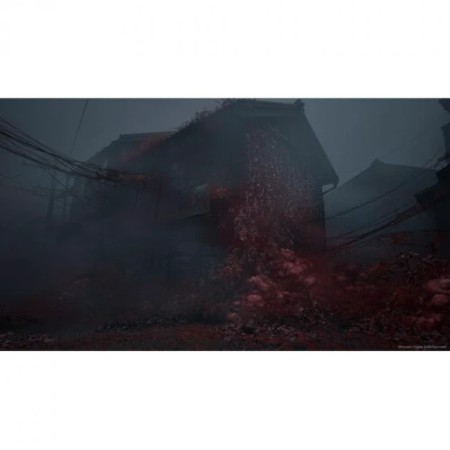 Alt view image 12 of 14 - Silent Hill F - PlayStation 5