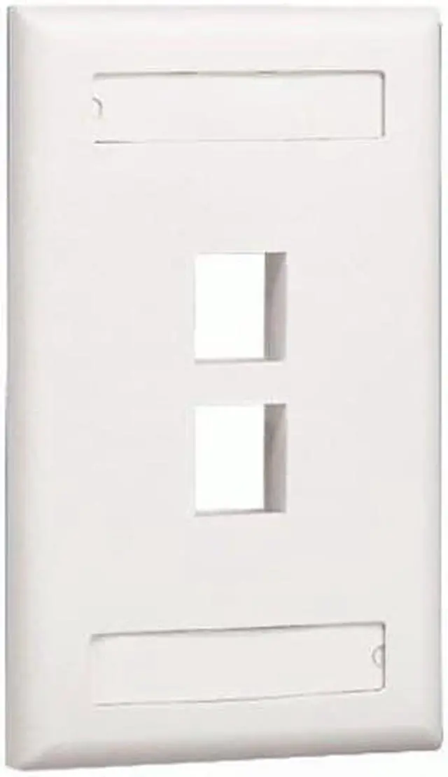 Alt view image 2 of 2 - PANDUIT 2 Socket NetKey Faceplate