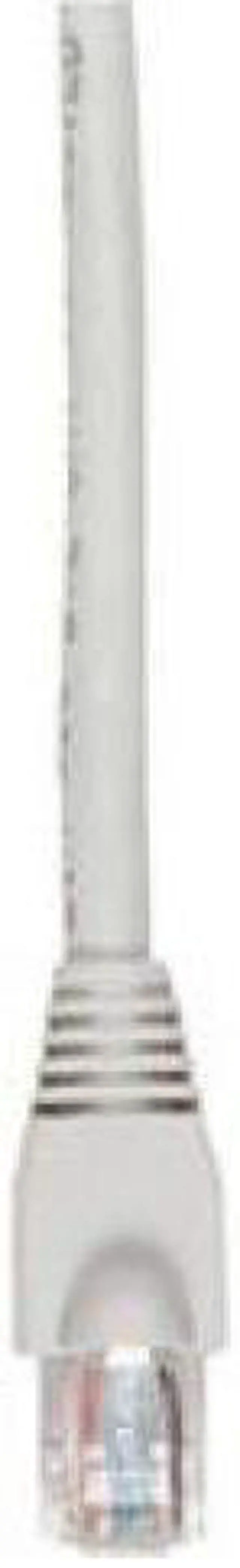 Main image of BLACK BOX EVNSL645-0015 CAT6 550MHZ STR UTP PVC SNG BG 15FT
