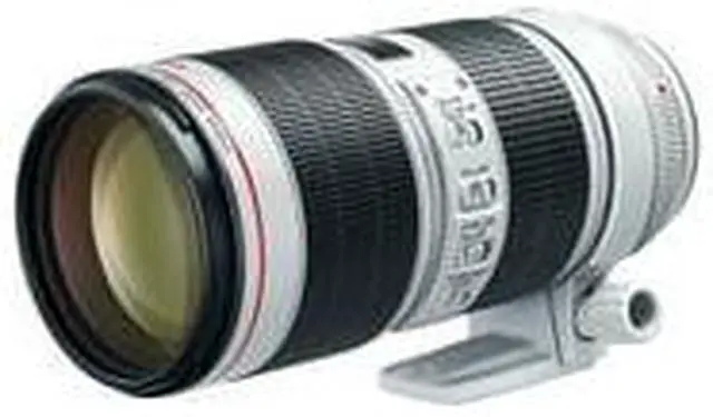 Alt view image 5 of 20 - CANON-PHOTO VIDEO 3044C002 EF 70-200MM F/ 2.8L IS III USM