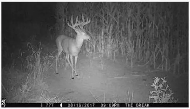 Alt view image 6 of 7 - Browning Trail Cameras Strike Force Extreme 16MP Game Camera Bundle