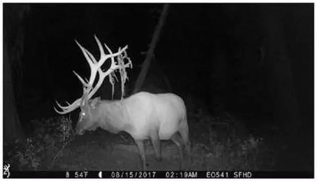 Alt view image 5 of 7 - Browning Trail Cameras Strike Force Extreme 16MP Game Camera Bundle
