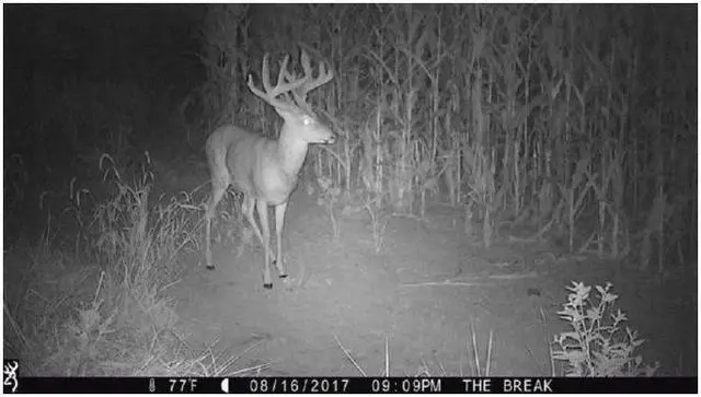 Alt view image 7 of 7 - Browning Trail Cameras Strike Force Extreme 16MP Game Camera (4-Pack) Bundle