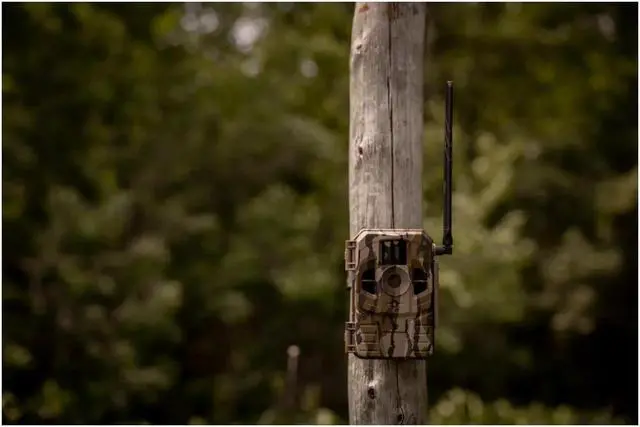 Alt view image 7 of 7 - Stealth Cam Connect Cellular Trail Camera (AT&T) with 32GB Card Bundle (10-Pack)