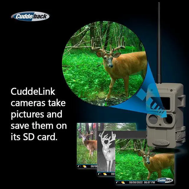 Alt view image 3 of 7 - Cuddeback CuddeLink Wireless, Low-Glow Black Flash LED Camera with Cuddeback CuddeLink Cell Home