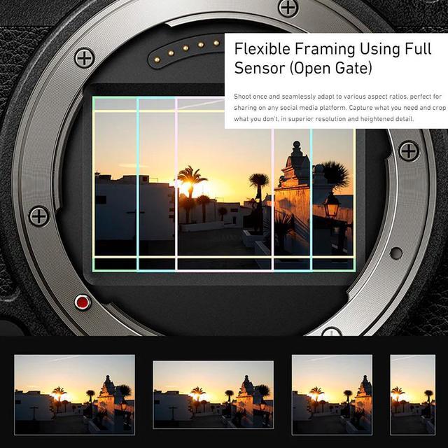 Alt view image 6 of 7 - Panasonic LUMIX S9 Full Frame Camera with Phase Auto Focus (Body) with 128GB SD Card and extra battery bundle