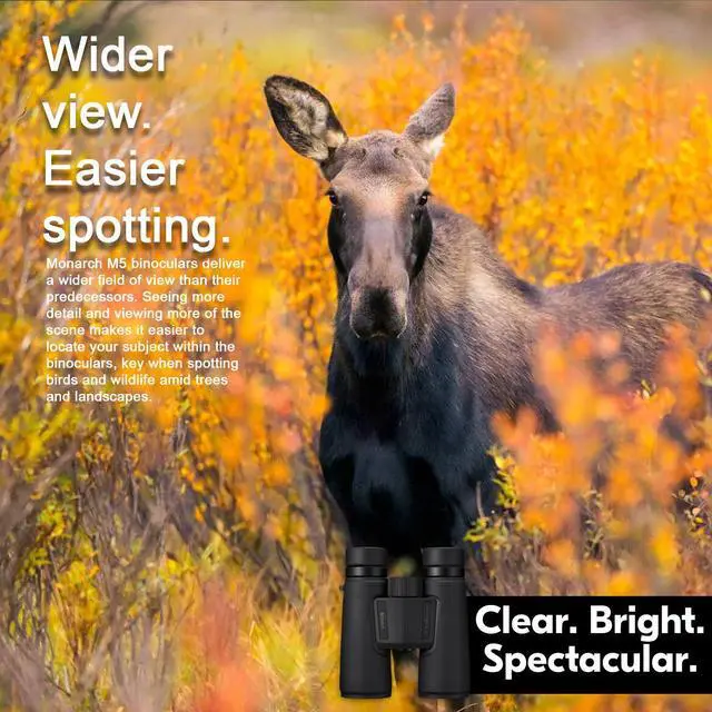 Alt view image 6 of 7 - Nikon Monarch M5 12x42 Binoculars and Black Camera Shoulder Bag Bundle