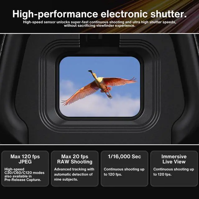 Alt view image 4 of 7 - Nikon Z6III FX Format Mirrorless Camera with 24 to 70mm f4 S Lens Bundle