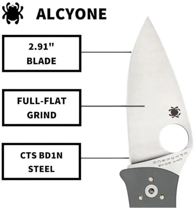 Alt view image 16 of 19 - Spyderco Alcyone Folder 2.91 in Plain Gray G-10 Handle