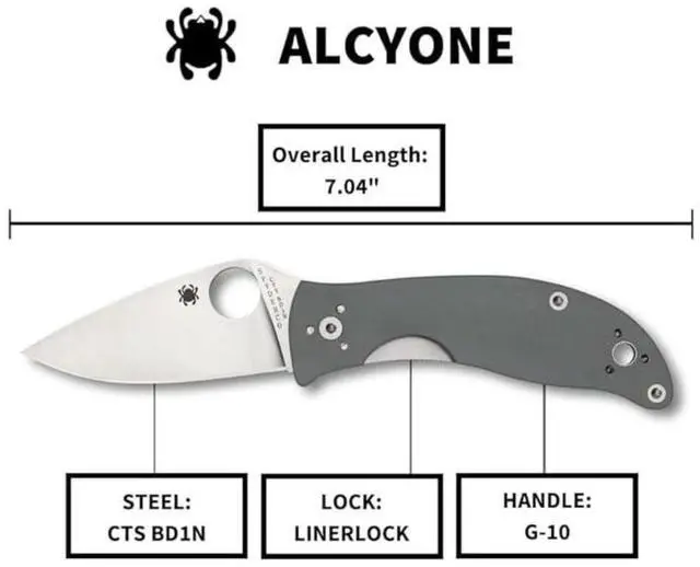 Alt view image 18 of 19 - Spyderco Alcyone Folder 2.91 in Plain Gray G-10 Handle