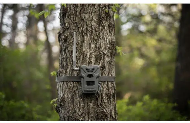 Alt view image 6 of 7 - Spypoint FLEX-M US Solar Bundle - FLEX-M Trail Camera and SPLB 10 Solar Panel