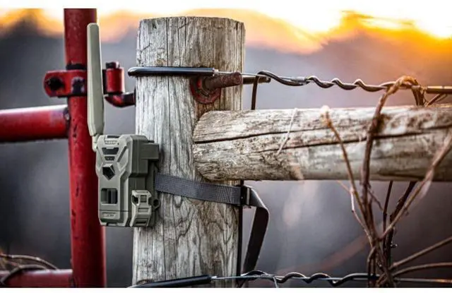 Alt view image 7 of 7 - Spypoint FLEX-M US Solar Bundle - FLEX-M Trail Camera and SPLB 10 Solar Panel