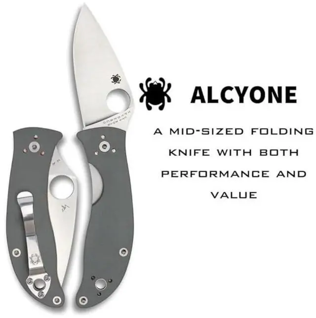 Alt view image 14 of 19 - Spyderco Alcyone Folder 2.91 in Plain Gray G-10 Handle