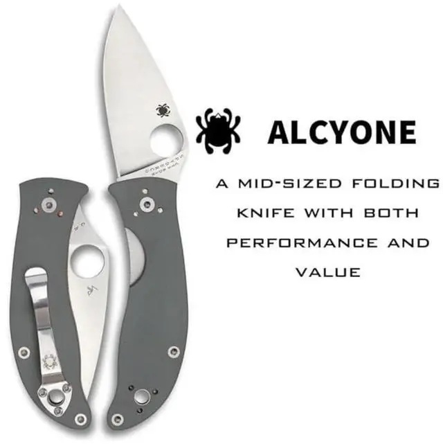 Alt view image 15 of 19 - Spyderco Alcyone Folder 2.91 in Plain Gray G-10 Handle