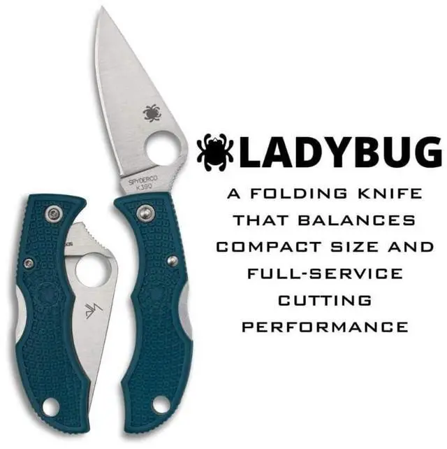Alt view image 4 of 7 - Spyderco Ladybug 3 Lightweight PlainEdge Folding Knife with 1.97-Inch K390 Stainless Steel Blade and FRN Handle (Blue)