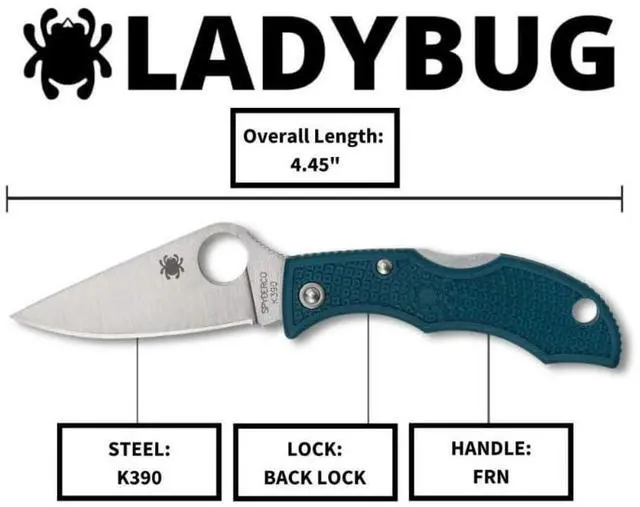 Alt view image 5 of 7 - Spyderco Ladybug 3 Lightweight PlainEdge Folding Knife with 1.97-Inch K390 Stainless Steel Blade and FRN Handle (Blue)