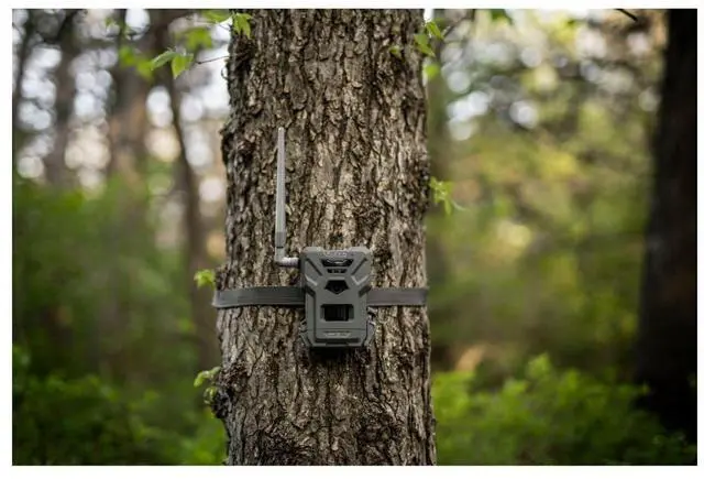 Alt view image 5 of 7 - Spypoint Flex M Twin Pack 28 Megapixel Cellular Trail Cameras with Dual-Sim, MicroSD Card Format Button and 0.4-Second Trigger Speed