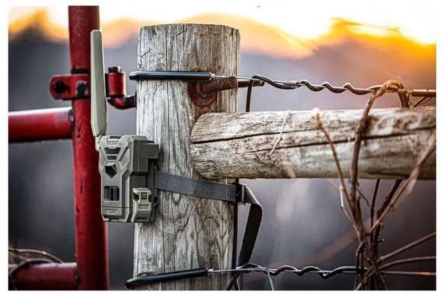 Alt view image 6 of 7 - Spypoint Flex M Twin Pack 28 Megapixel Cellular Trail Cameras with Dual-Sim, MicroSD Card Format Button and 0.4-Second Trigger Speed