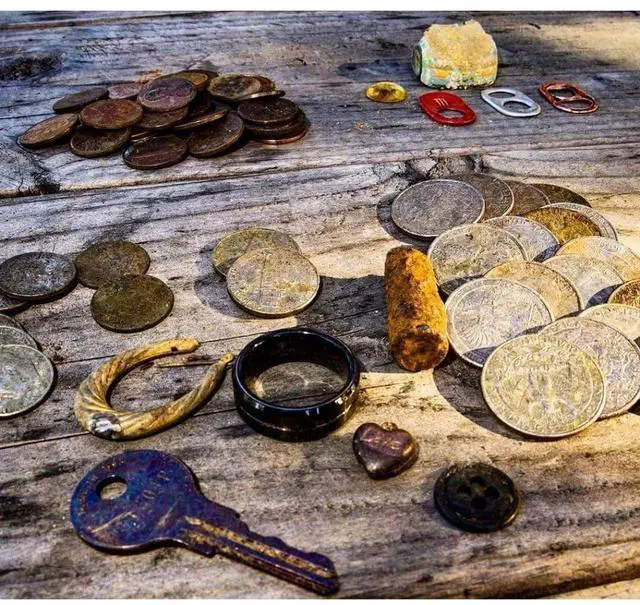 Alt view image 8 of 8 - Bounty Hunter PL PROQD Multi-Purpose Detector, Black