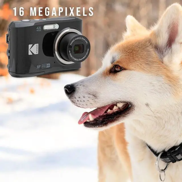 Alt view image 7 of 7 - Kodak PIXPRO FZ45 Friendly Zoom Digital Camera (Black) Bundle with Folding Storage Travel Case, 128GB SD Class 10 UHS-I U1 V10 Full HD Memory Card, and Procell AA (4-Pack) (4 Items)