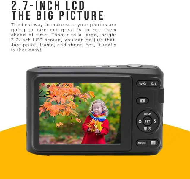Alt view image 5 of 7 - Kodak PIXPRO FZ45 Friendly Zoom Digital Camera (Black) Bundle with Folding Storage Travel Case, 128GB SD Class 10 UHS-I U1 V10 Full HD Memory Card, and Procell AA (4-Pack) (4 Items)