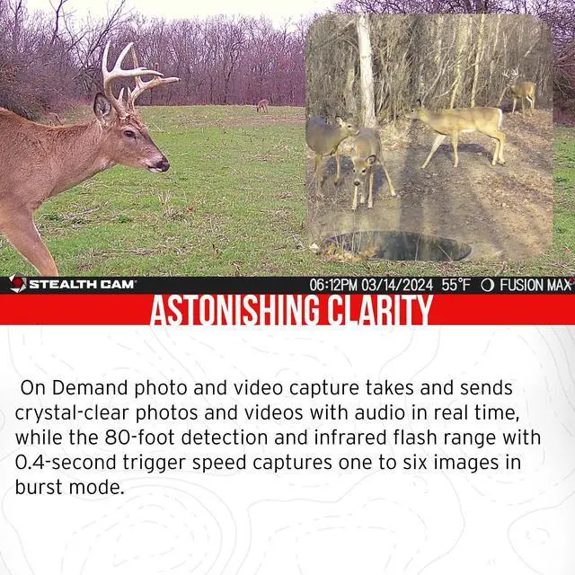 Alt view image 3 of 7 - Stealth Cam 36MP Fusion Max Cellular Trail Camera with 80 Feet Detection Range (2-Pack) Bundle with Battery Pack, Solar Panel, and Cable (2-Pack), 32GB Memory Card (2-Pack), and Card Reader (7 Items)