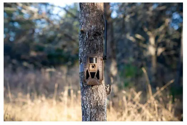 Alt view image 7 of 7 - Muddy Matrix 2.0 Dual Network Cellular Camera with 36MP Photo Resolution, 1080p Video Recording, and Command Pro App Compatibility (Brown)