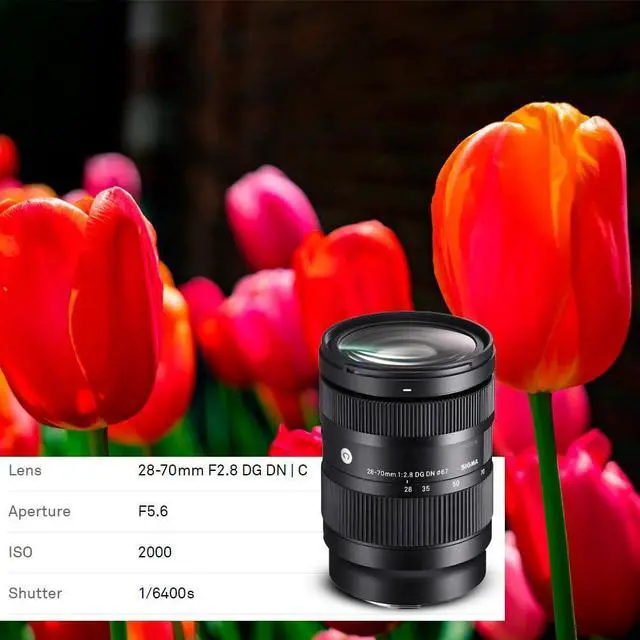 Alt view image 4 of 7 - Sigma 28-70mm f/2.8 DG DN Contemporary Lens for L Mount Bundle with Rugged Mini USB 3.0 1TB External Portable Hard Drive and 64GB SDHC Memory Card (3 Items)