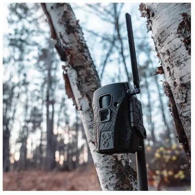 Alt view image 5 of 6 - Wildgame Innovations Terra XT 2.0 Cellular Trail Camera 24MP 720P Video and Versatile Mount (Gray, 3-Pack)