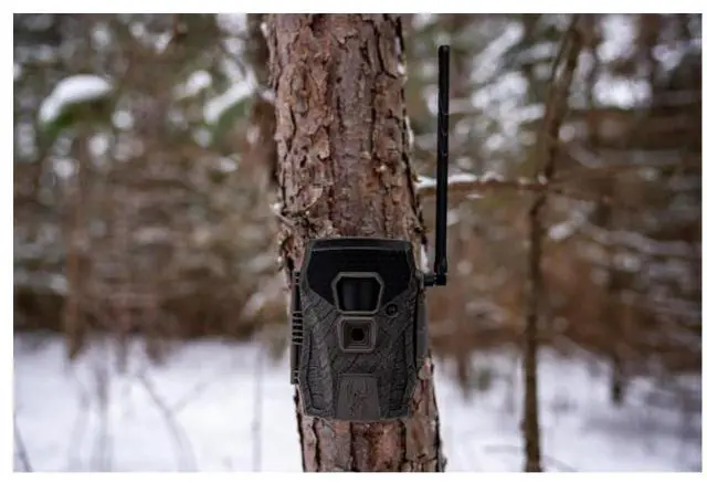 Alt view image 2 of 7 - Wildgame Innovations Terra XT 2.0 Cellular Camera with 24MP Image Resolution, 720p Video, Customizable Time-Out Delay, and Versatile Mounting (Gray)