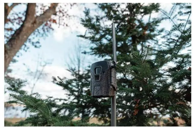 Alt view image 4 of 7 - Wildgame Innovations Terra XT 2.0 Cellular Camera with 24MP Image Resolution, 720p Video, Customizable Time-Out Delay, and Versatile Mounting (Gray)