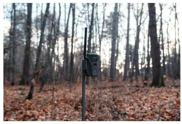 Alt view image 5 of 7 - Wildgame Innovations Terra XT 2.0 Cellular Camera with 24MP Image Resolution, 720p Video, Customizable Time-Out Delay, and Versatile Mounting (Gray)