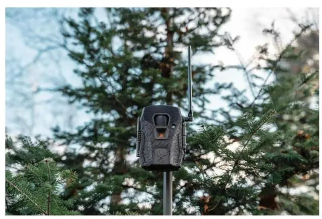 Alt view image 7 of 7 - Wildgame Innovations Terra XT 2.0 Cellular Camera with 24MP Image Resolution, 720p Video, Customizable Time-Out Delay, and Versatile Mounting (Gray)