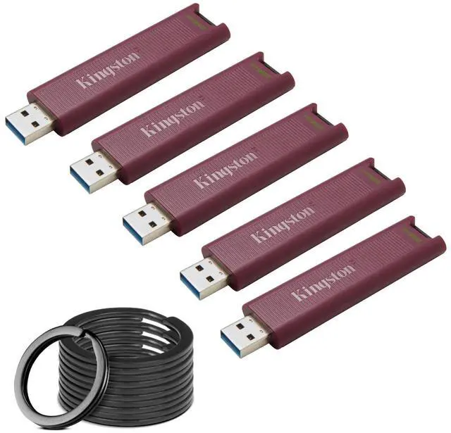 Main image of Kingston DataTraveler Max Type-A 256GB High Performance USB Flash Drive (5-Pack) Bundle with Focus Camera Stainless Steel Keyrings (10-Pack) (6 Items)