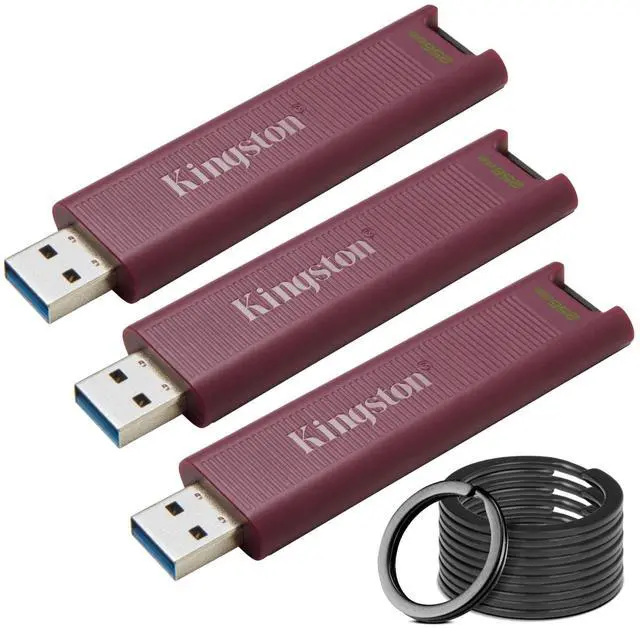 Main image of Kingston DataTraveler Max Type-A 256GB High Performance USB Flash Drive (3-Pack) Bundle with Focus Camera Stainless Steel Keyrings (10-Pack) (4 Items)