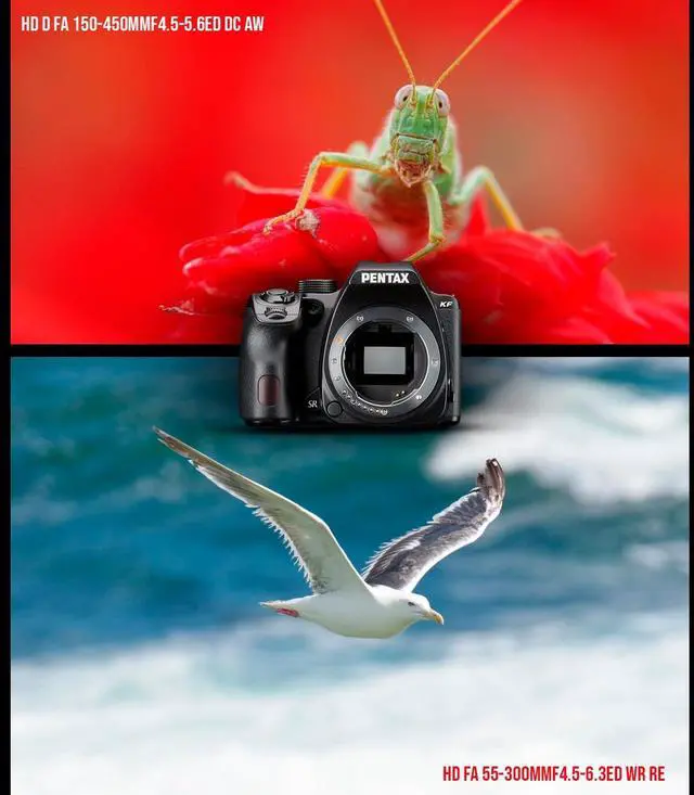 Alt view image 6 of 6 - Pentax KF DSLR Camera Kit (Black) with PENTAX DA L 18 to 55mm F3.5-5.6 AL WR Lens Bundle with Pentax Lens, Gadget Bag and Software Bundle of 4 Softwares OEM Photo, and Art Software Suite (5 Items)
