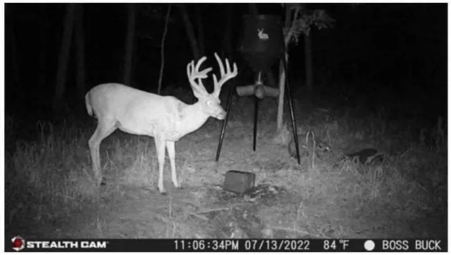 Alt view image 6 of 7 - Stealth Cam G42NG No-Glo Trail Camera 4-Pack Ready-to-Go Bundle with Game Cam Holders, Memory Cards, and Focus Camera USB Reader (17-Items)