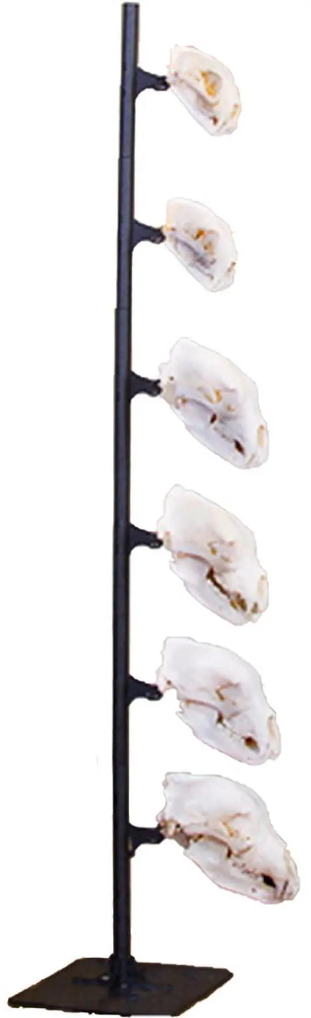 Alt view image 14 of 16 - Skull Hooker Skull Hooker Trophy Tree Floor Display 5 Brackets Black