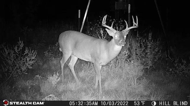 Alt view image 3 of 5 - Stealth Cam Browtine 18MP Digital Trail Camera Combo with SD Card and Batteries