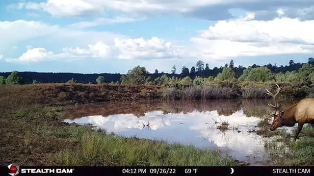 Alt view image 4 of 5 - Stealth Cam Browtine 18MP Digital Trail Camera Combo with SD Card and Batteries