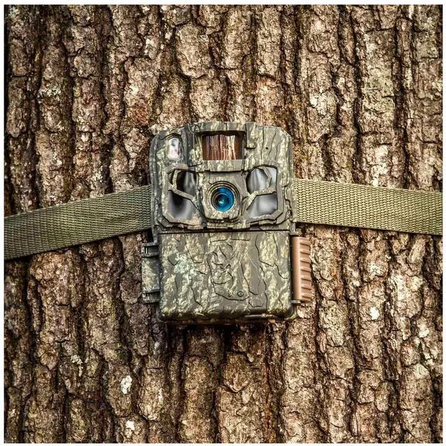 Alt view image 6 of 7 - Browning Trail Cameras - Dark Ops FHDR40 with 32GB Memory Card and Card Reader (3 items)