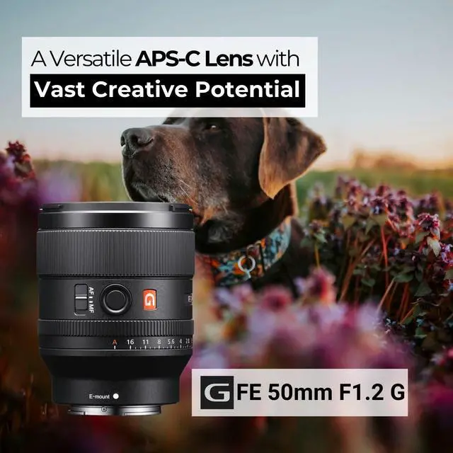 Alt view image 5 of 7 - Sony FE 50mm f/1.2 GM Full-Frame Large-Aperture G Master Lens - Ultra Sharp Focus and Bokeh Control and Weather Sealing Bundle with Editing Software, 64GB Memory Card, and Camera Case (4 Items)