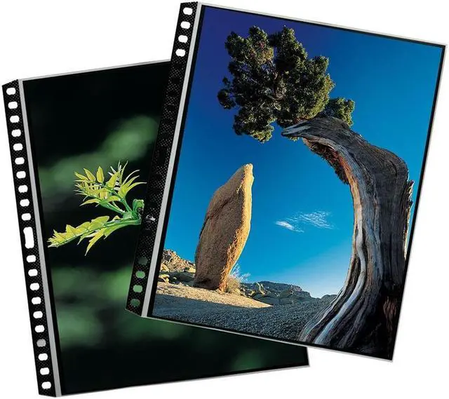 Alt view image 4 of 11 - Itoya Art Profolio Portrait Polyglass Pages (9" x 12")