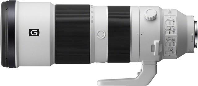 Superior Performance of the Sony 200-600mm F5.6-6.3 G OSS Super-Telephoto  Zoom Lens
