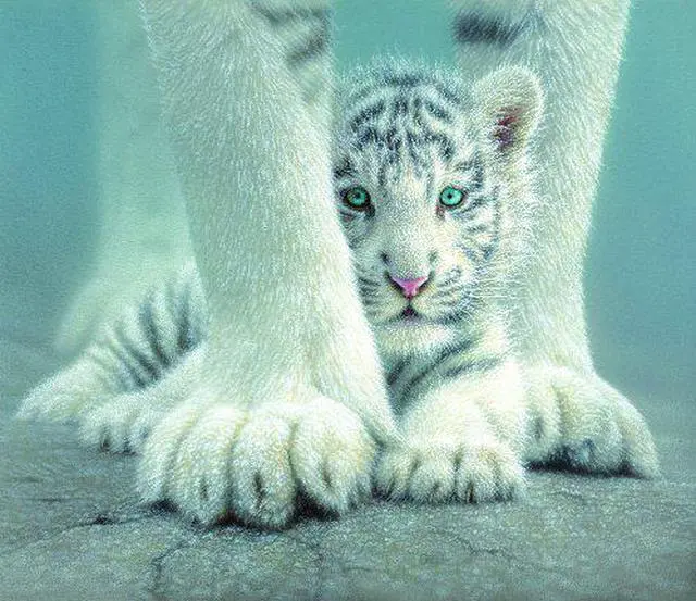 Main image of Sheltered 550pc Jigsaw Puzzle by Colin Bogle SOIY1852 SUNSOUT